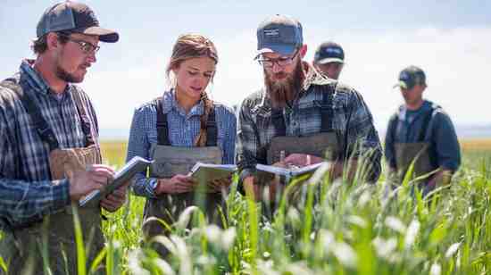 Gujarat Agricultural University Bharti 2025